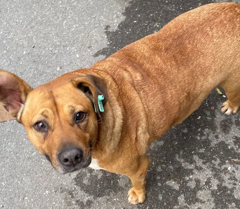 Belediye almaya gelmiş bu çocukum saklanmış. Keşke onu bir yerde korumaya alsak…