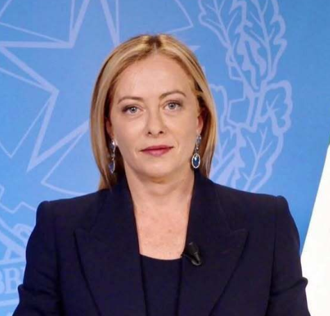 Frenkie_Woody tweet media