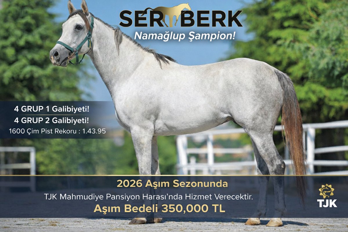 Sabridagyudan's tweet photo. https://t.co/S0lIZWE3JM
SERTBERK ve KIR EJDER isimli aygırlarımız 2026 yılı aşım sezonunda hizmetinizde olacaktır!! https://t.co/HUVlXbtj1F