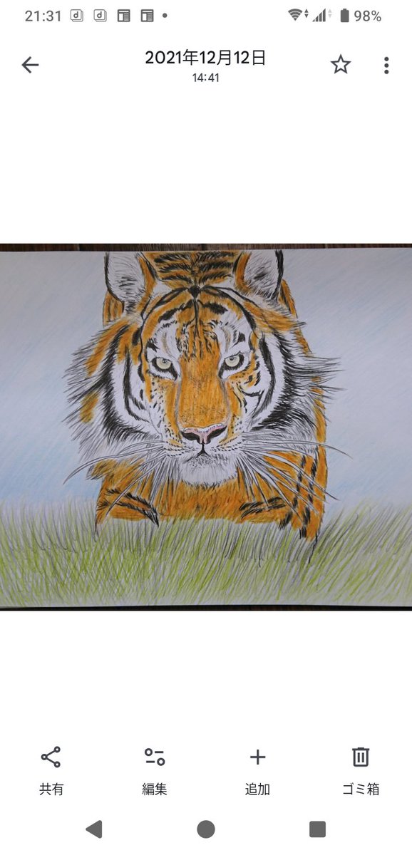 こんばんは、A4サイズ色鉛筆画(トラ)です🐅お休みなさい🌉 #動物