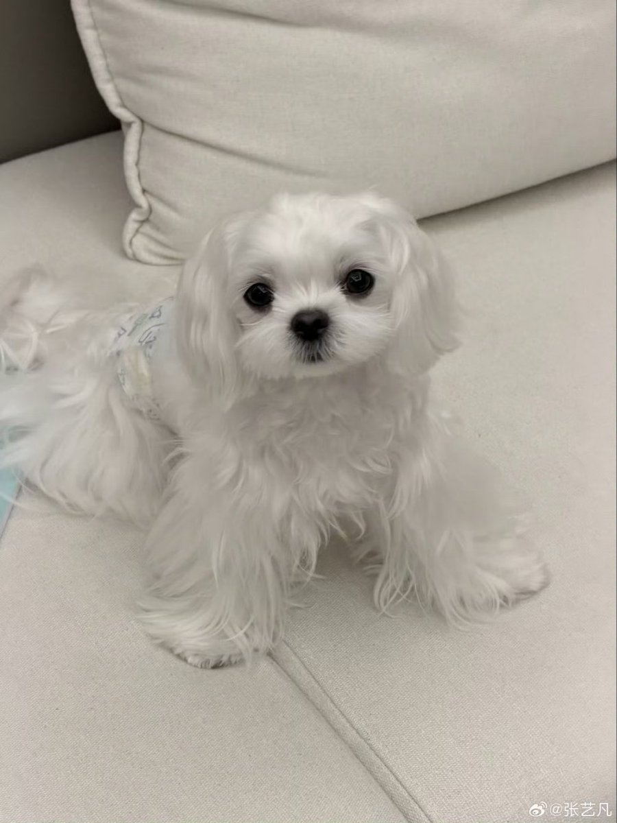 yifamn's tweet image. Let me show you how bretty my baby is.