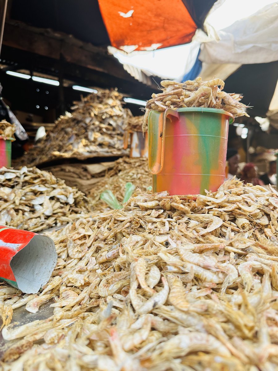 Guinea Culture&Tourism🇬🇳 tweet media