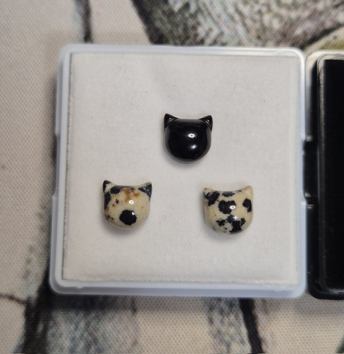 la.vex #ねこ飼いませんか❗️ (@lavex_jewelry) / Posts / X