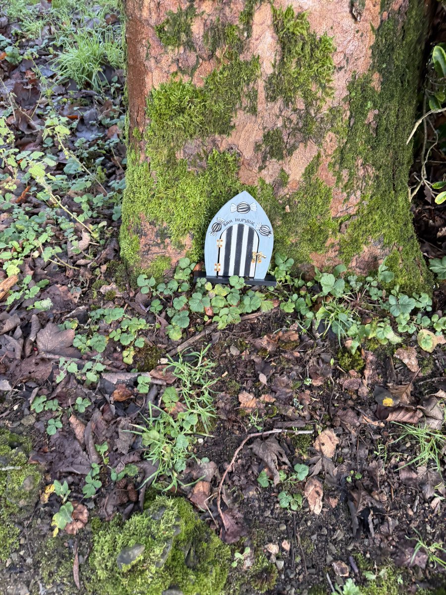 Louise Scott DL 🐝 tweet media