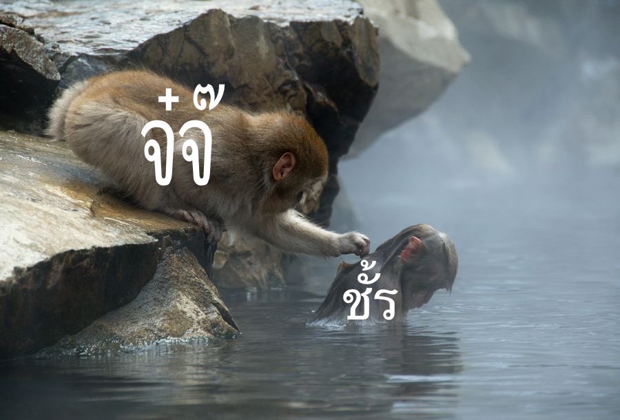 ੯·̀͡⬮ tweet media