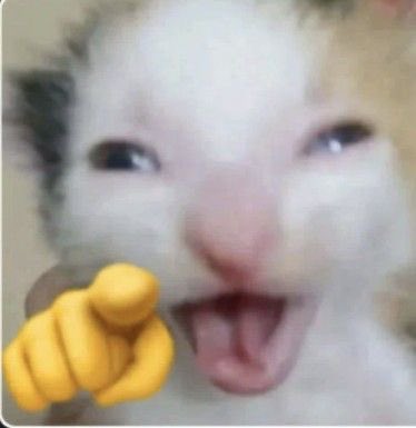 _cherryys_'s tweet image. Mirenla, es la que rechaza comida en público para después tener un atracón en su casa