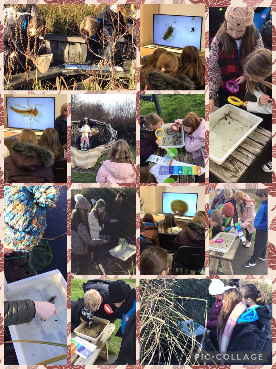 Burry Port Primary tweet media