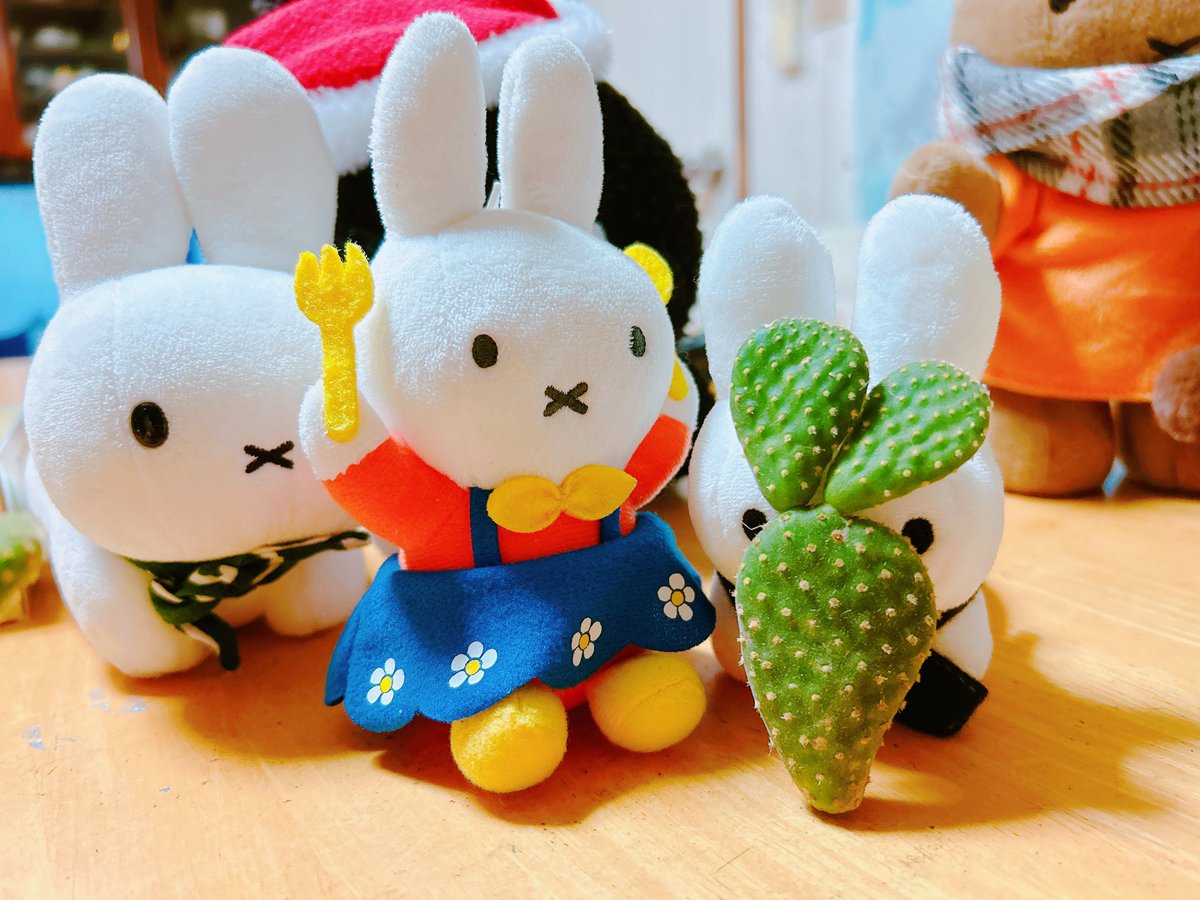 うさぎさんのおみみだね🌵
