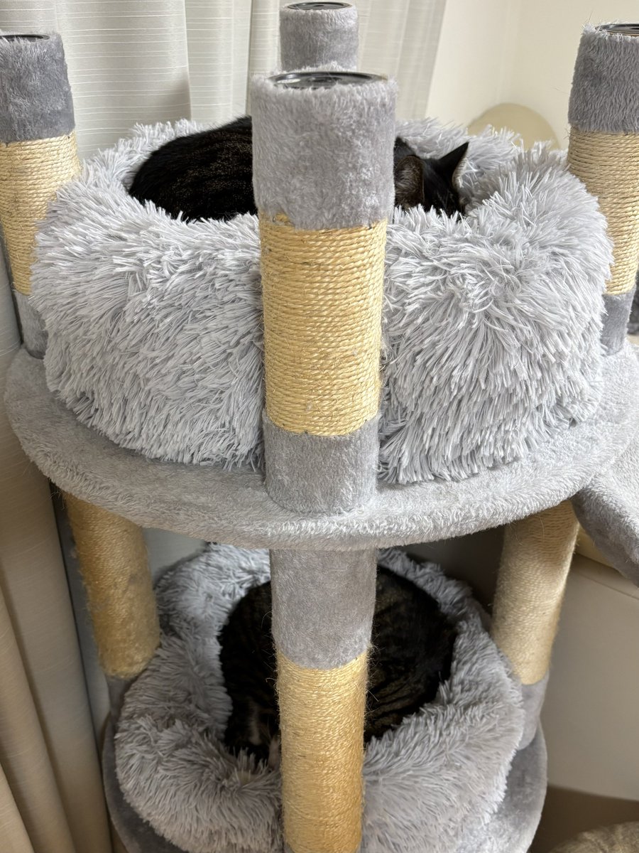 みふゆ(三冬) (@mifuyu_916) / Highlights / X