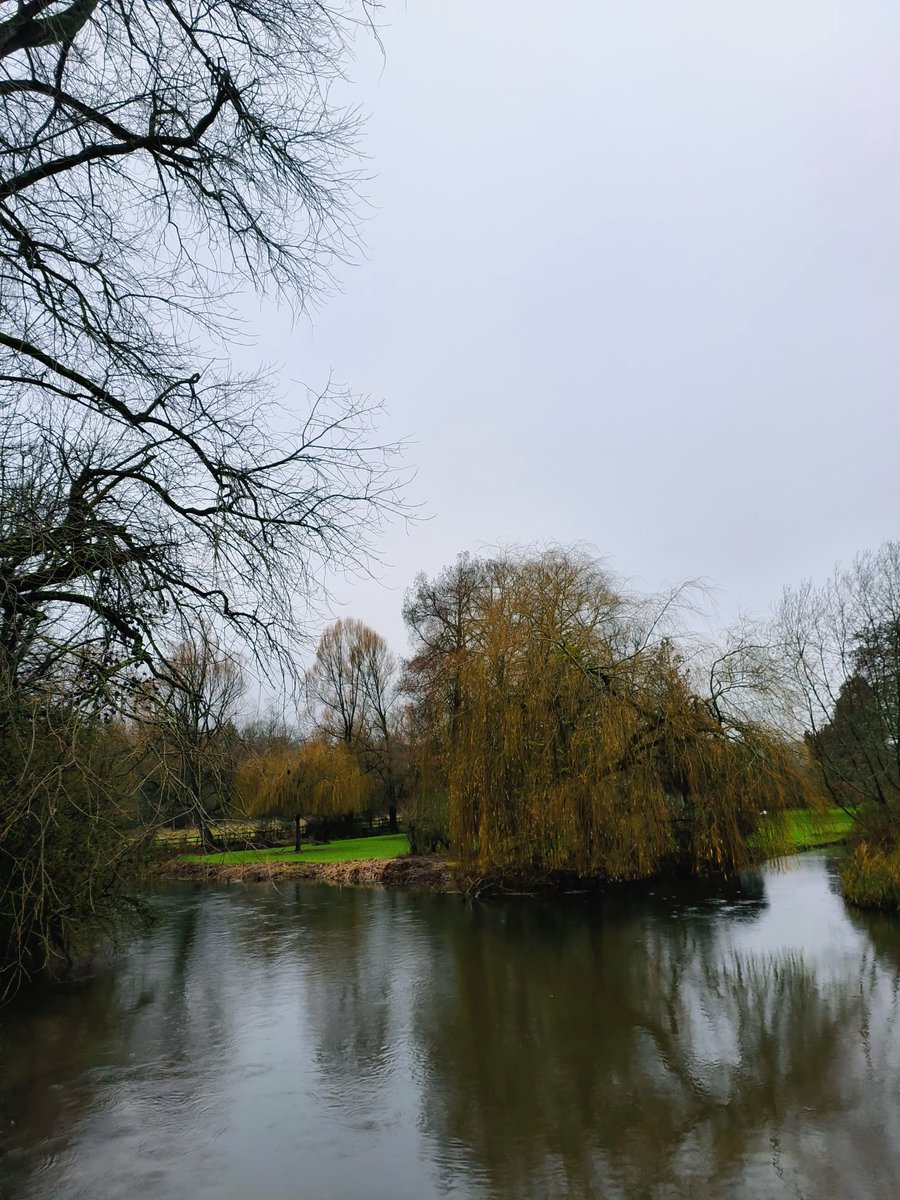 LadyGrace27's tweet image. A wet walk to work, the kind that rinses the rush away...

#tuesdayvibe #TuesdayMotivaton #commute #walking
