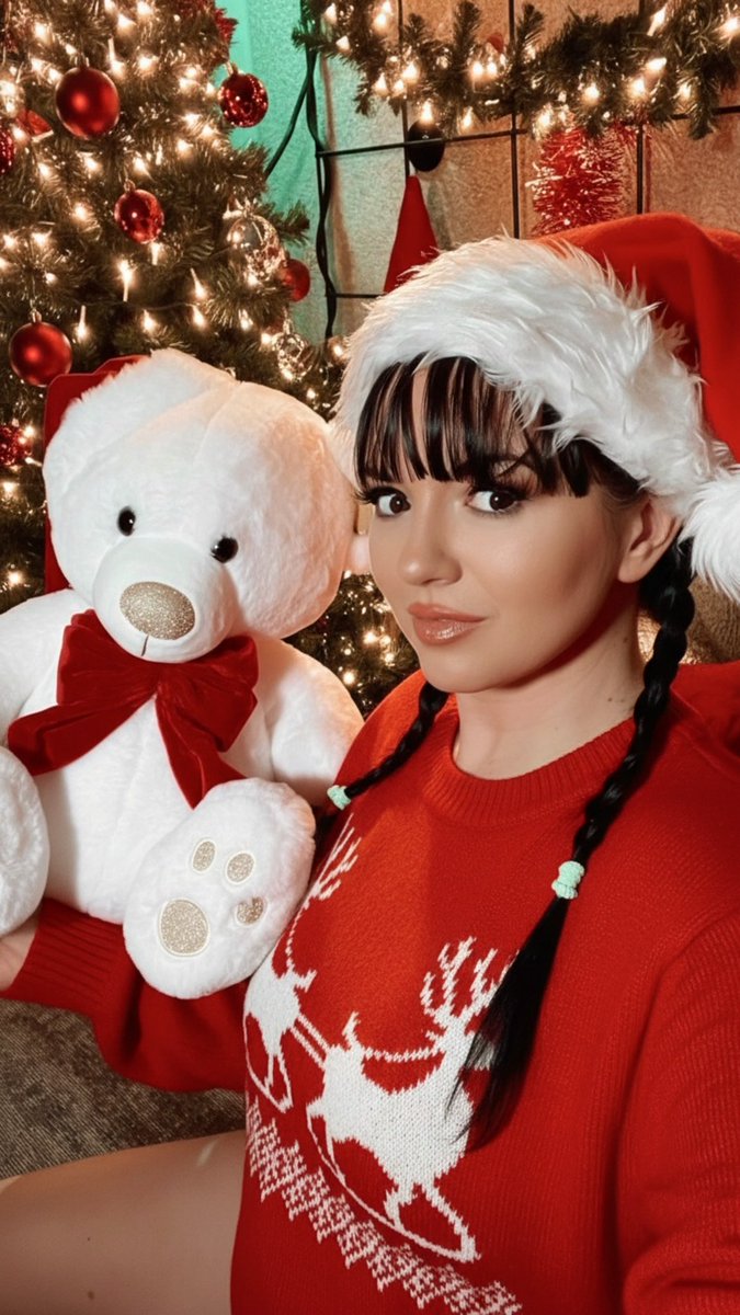 I love the Christmas season !