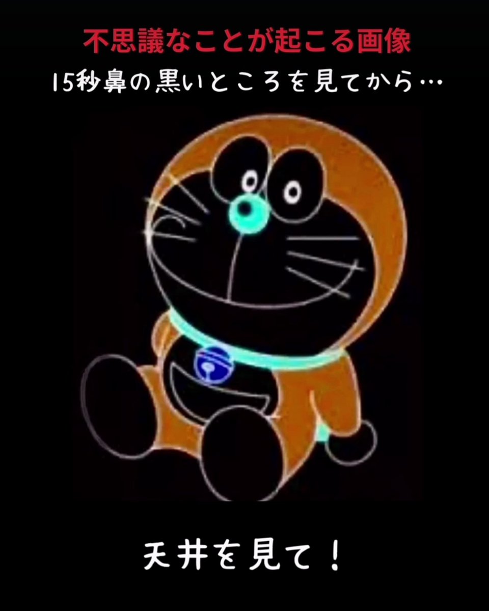 晴こころ(はるこころ) (@cocoro20090219) / Posts and Replies / X