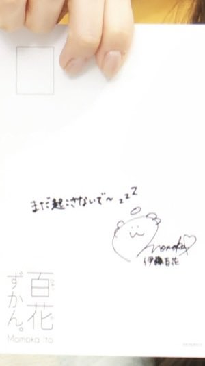 伊藤百花 ちゃんのフォトブック 『#百花ずかん。』 本日22:30までの