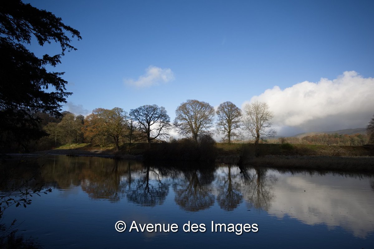 Avenue des Images tweet media