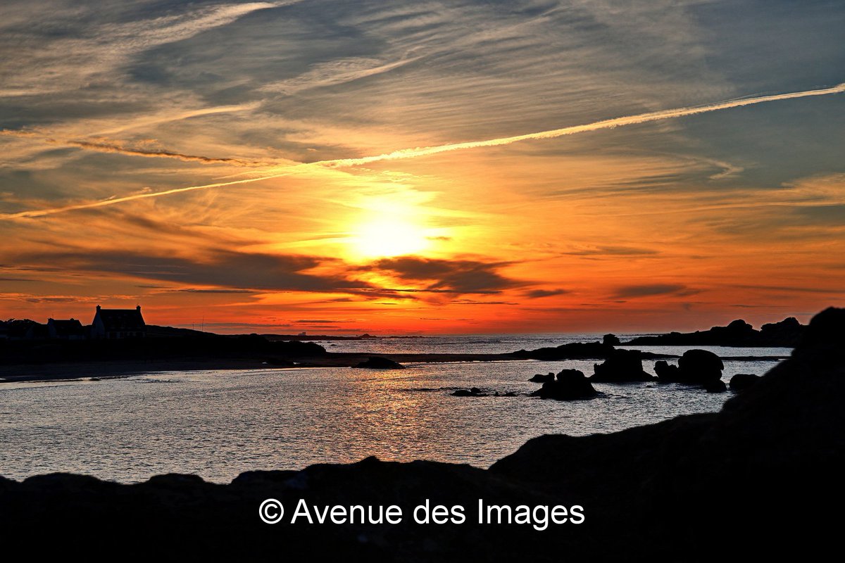 Avenue des Images tweet media