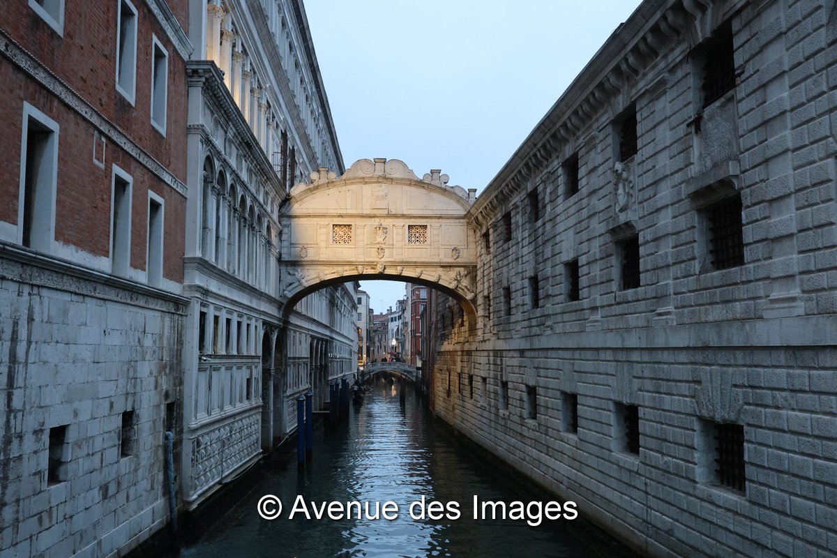 Avenue des Images tweet media
