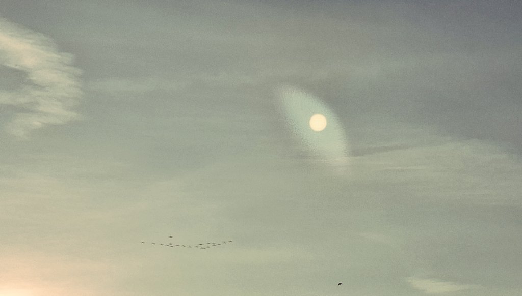 MrsGakko's tweet photo. @flightradar24 Över Möllevångstorget i Malmö ✈️ https://t.co/bcgFkfyb35