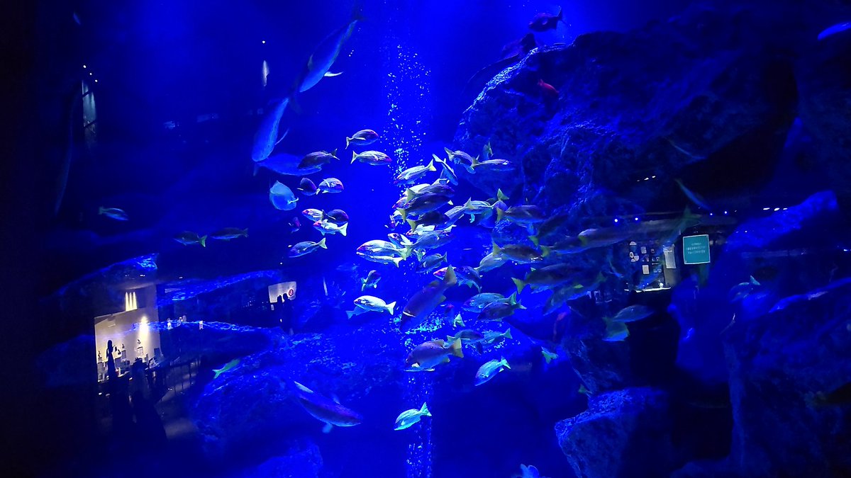 ljljlj (@696_ililil) on Twitter photo 