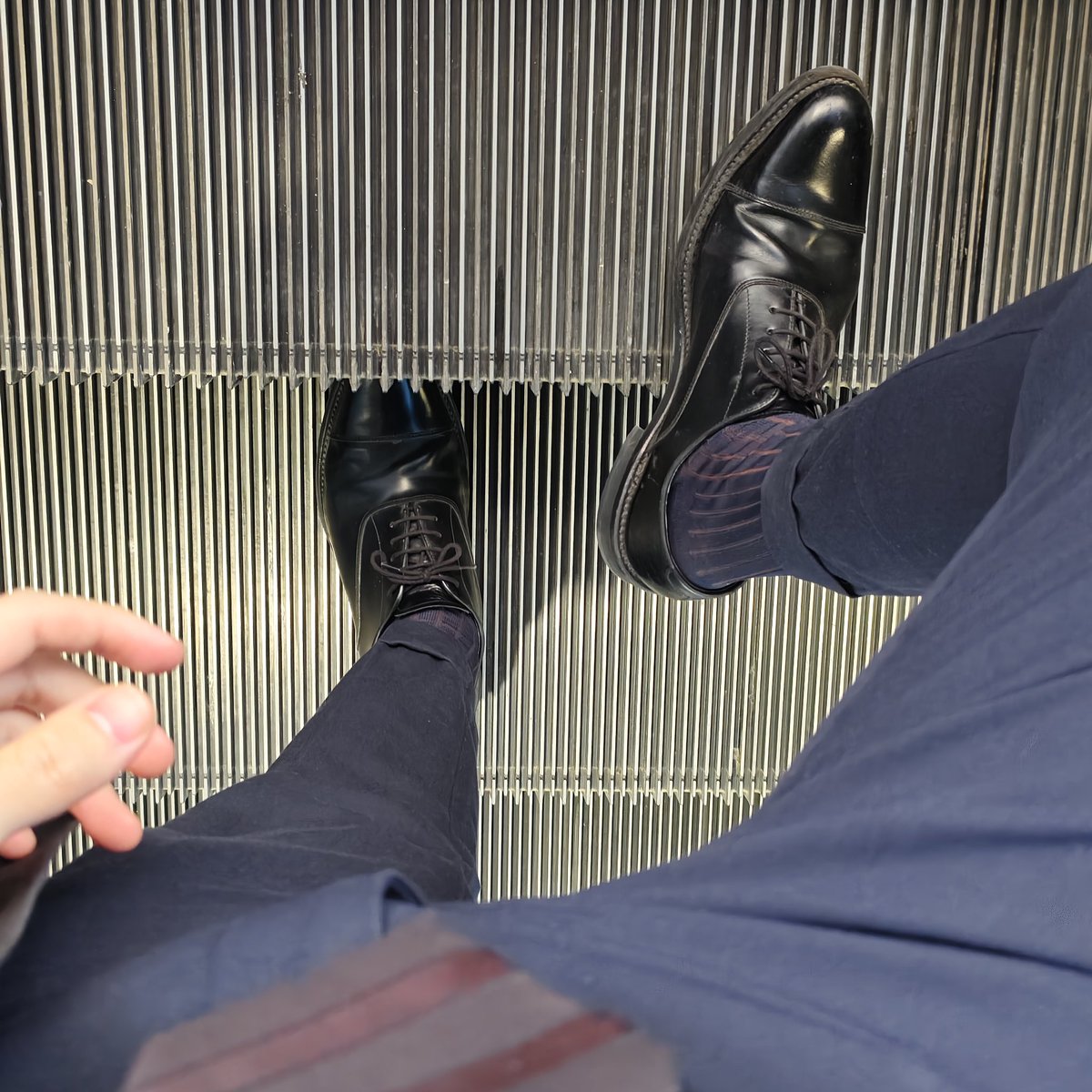 渡戎 tweet media