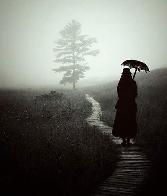 (٢)
هي الروح إن أضمرت
وإن أظهرت إحتوى
أغازل من؟
سبقت عصرها
وعصر جديد تلت
تألقها في الحضور
وأيقونة في الذكاء
✍️عبدالإله إسماعيل
2025/12/14