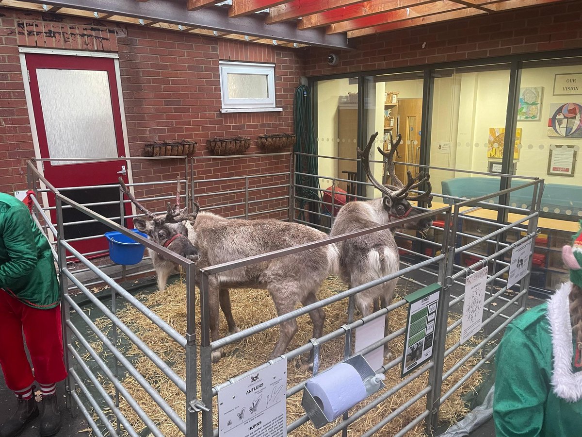 Pebble Brook Primary tweet media