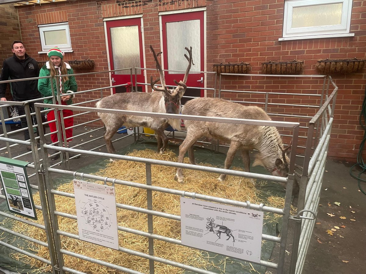 Pebble Brook Primary tweet media