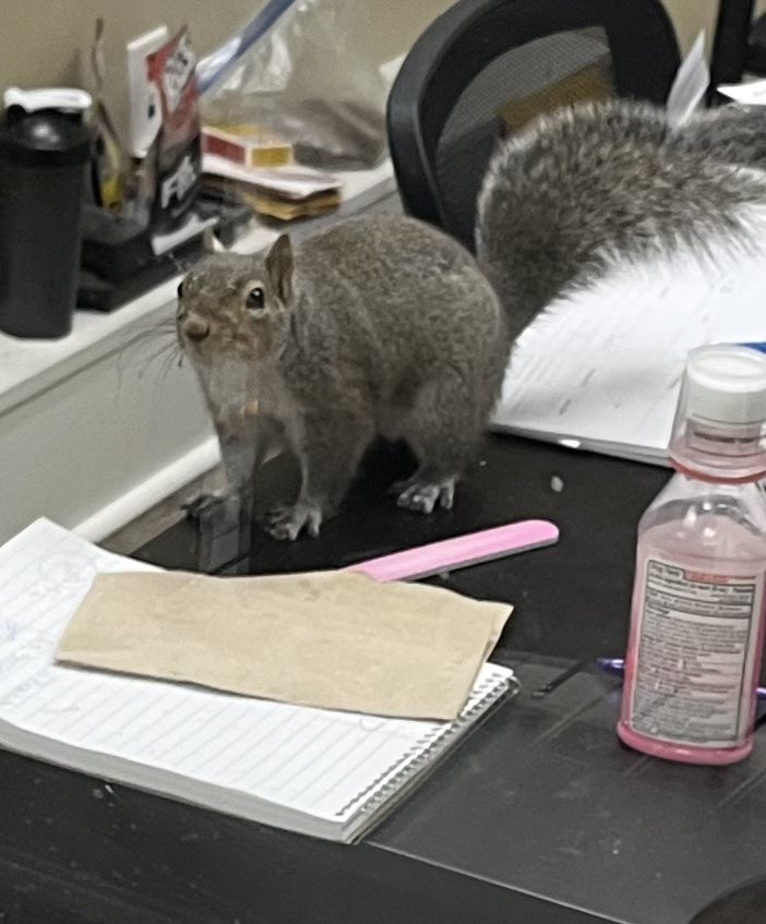 Ruscin&Zach tweet media