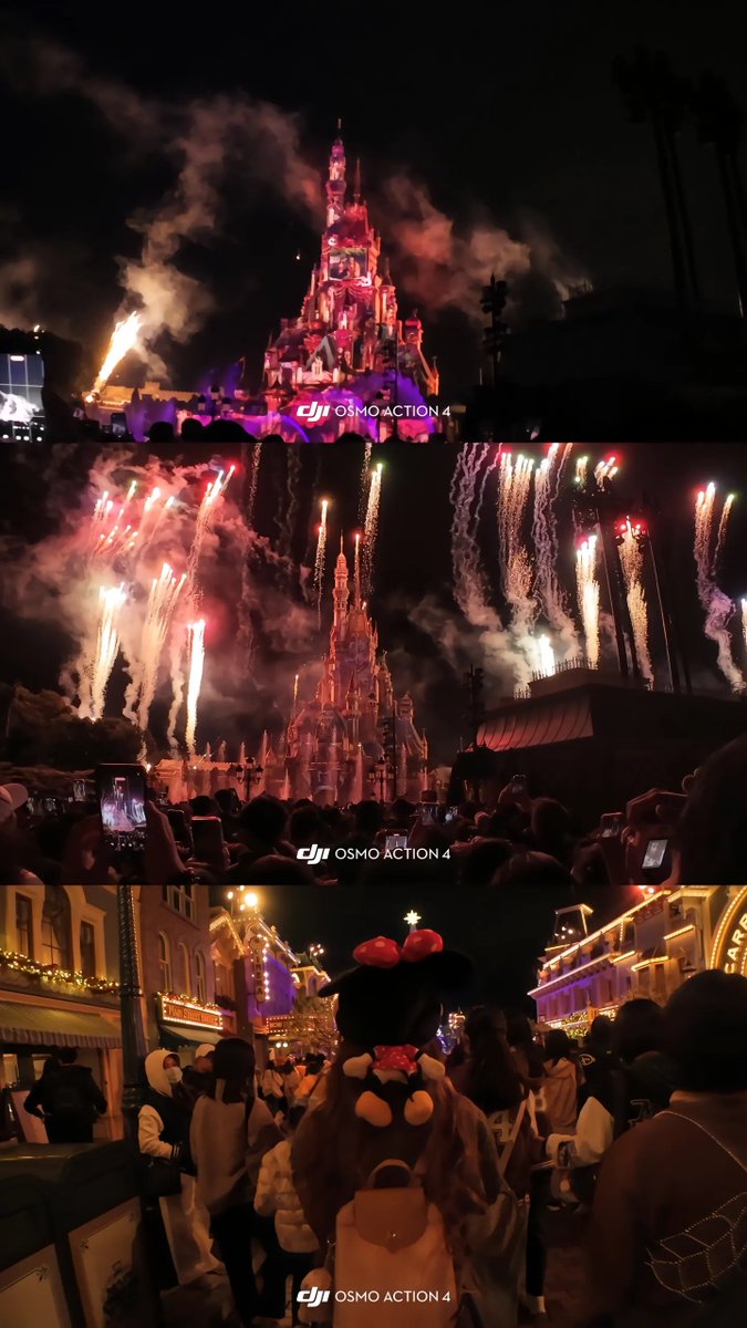 橘橘大橘猫 tweet media