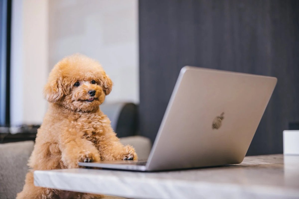 【初めてのエゴサ】

は？

唐揚げ？

似てな、ガチでだる