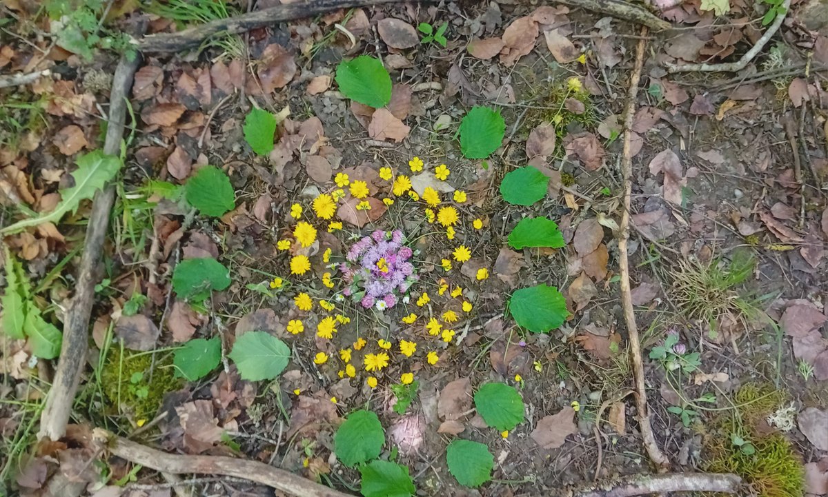 Irati Irratia tweet media