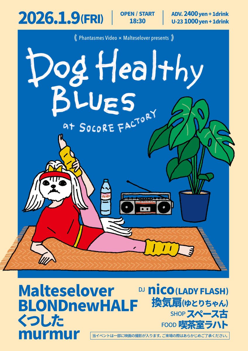 🆕1/9(Fri) Malteselover presentsDog Healthy Blues □BAND