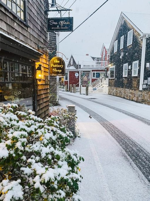 Helin Cebeci (@helincebecii) on Twitter photo 