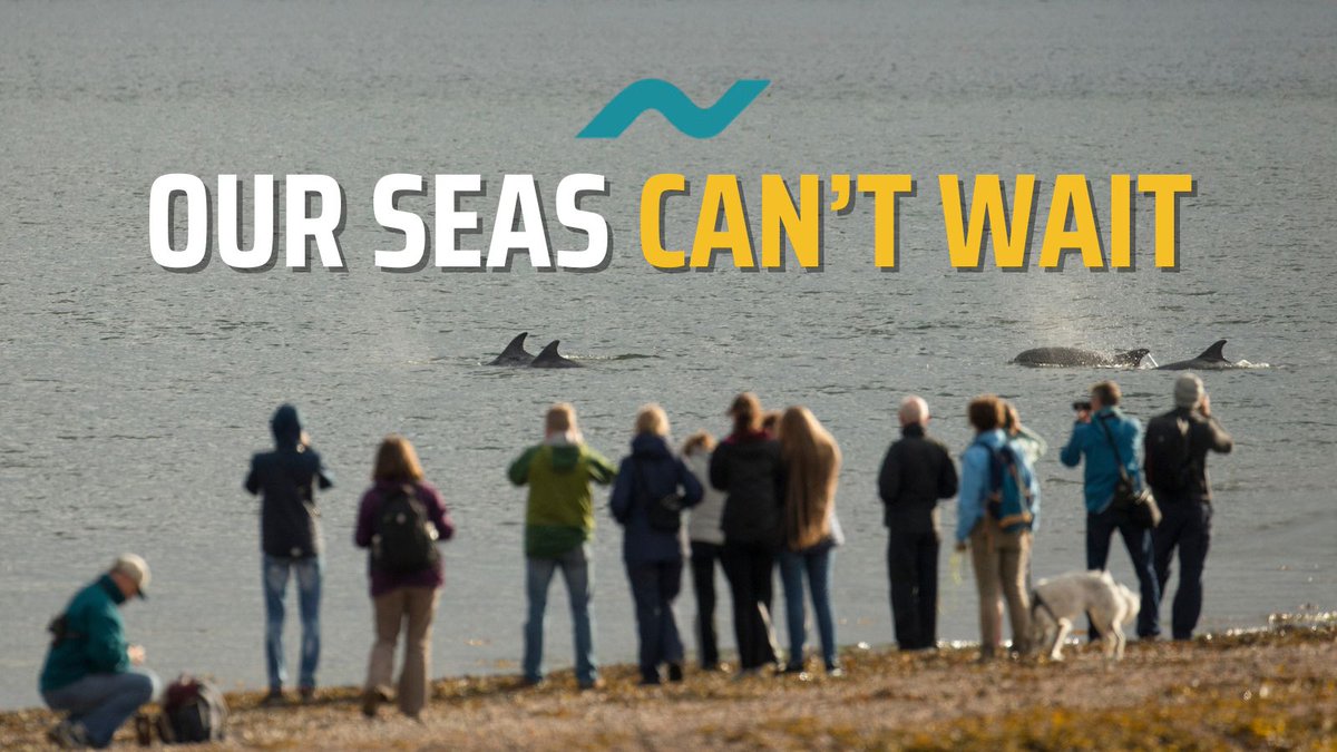 ScotRewilding's tweet image. Once again, the @scotgov has delayed action to protect Scotland’s marine ecosystems. The long-promised consultation on strengthening marine protections has been pushed back, even as our seas continue to degrade.

Scotland has Marine Protected Areas on paper, but too many remain…