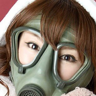 らんまるぽむぽむタイプα(ぽむ隊長) (@ranmaru_type_a) / Posts / X