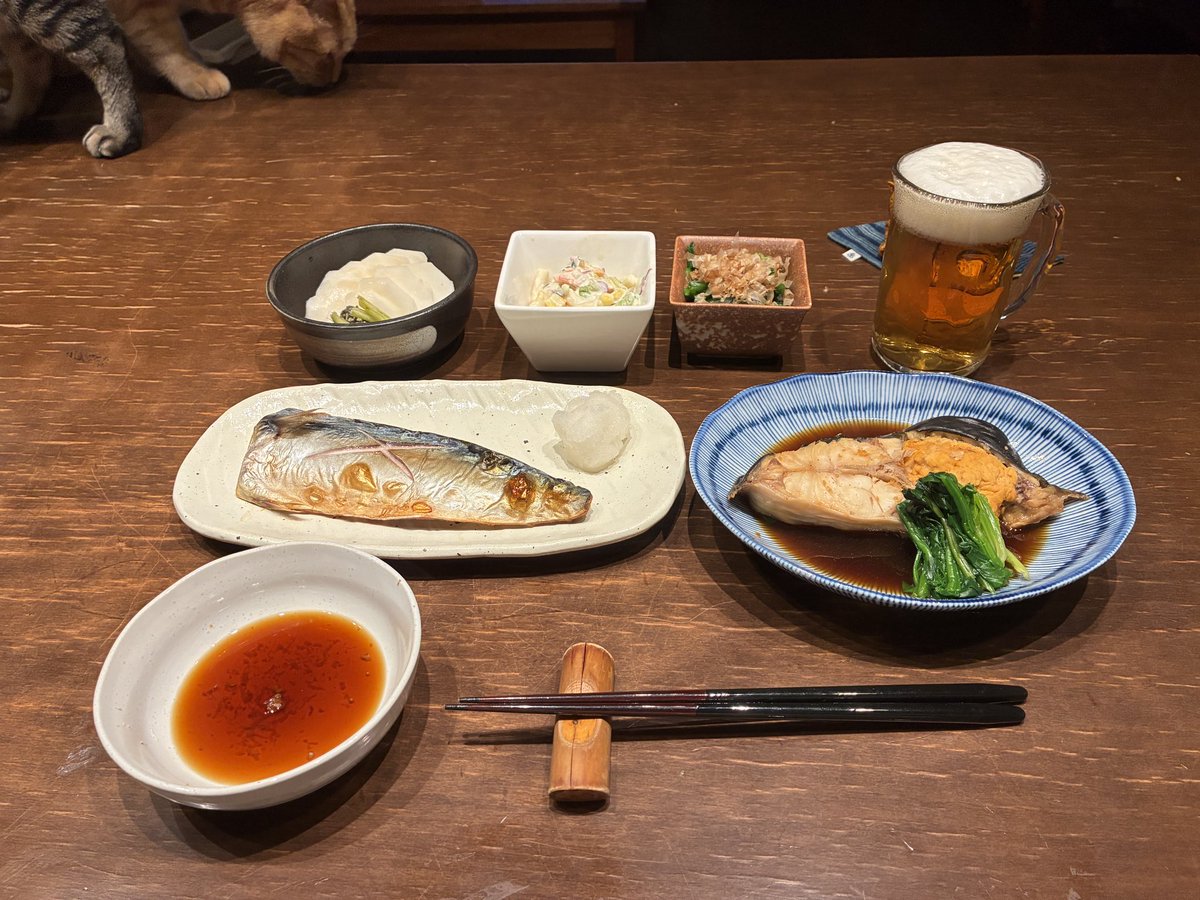 とろねこ (@toroneko1122) / Posts / X