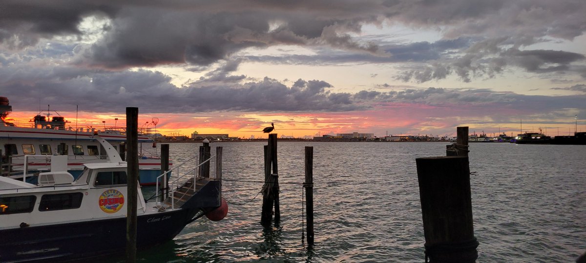 Rusty's Seafood & Oyster Bar tweet media