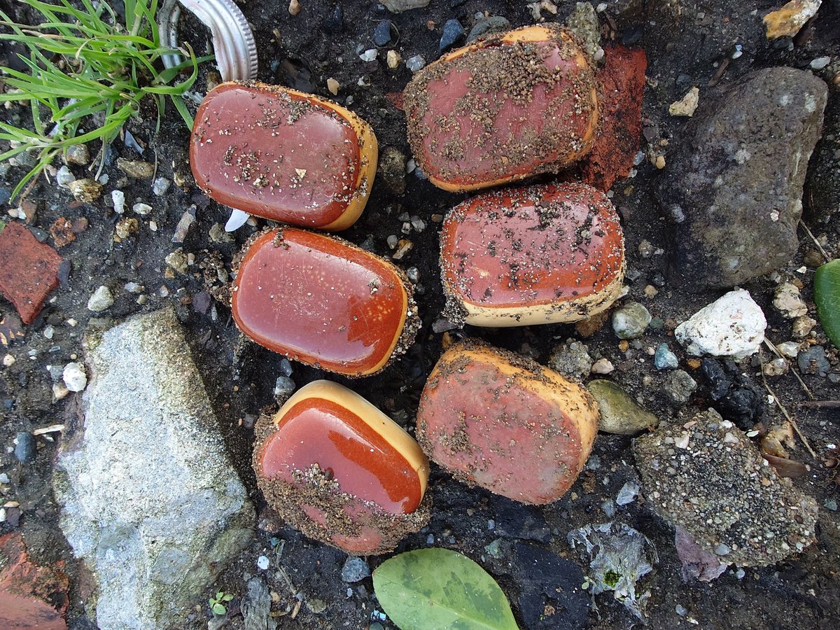 調べれば何でもわかるの、便利な世の中やかな。