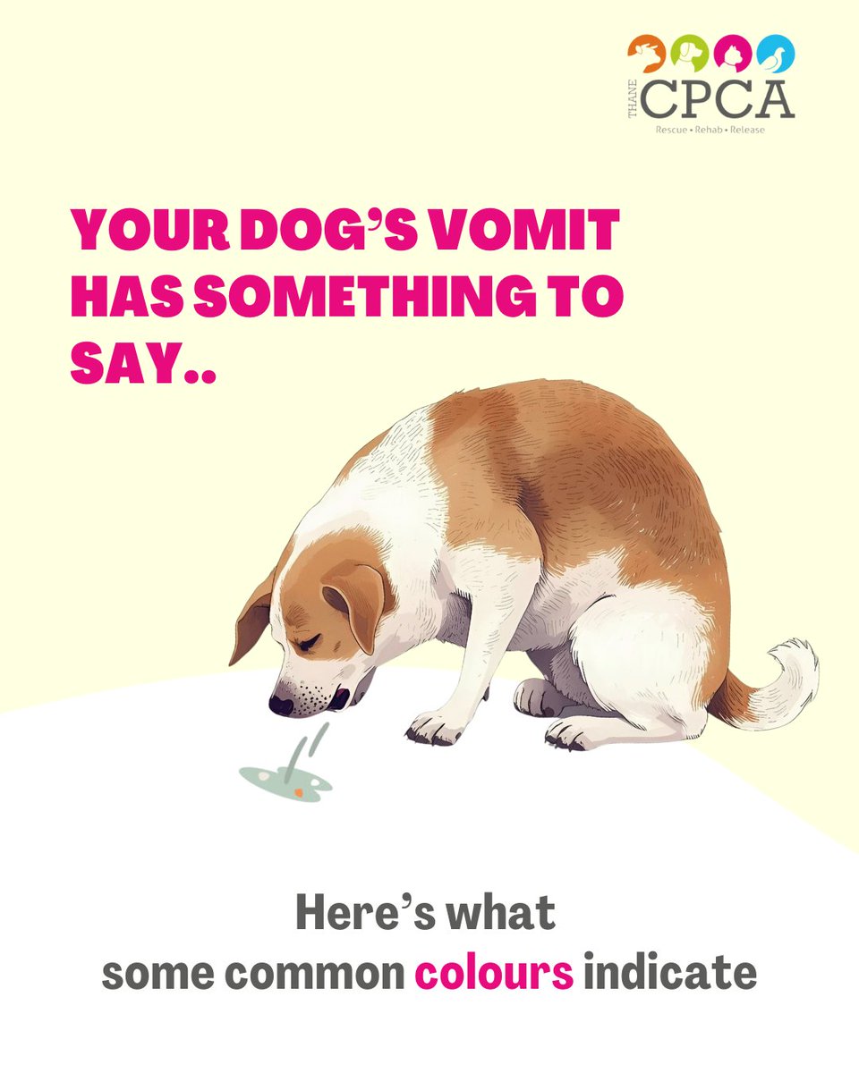 THANECPCA's tweet photo. It's not just about dogs. It's about any pet at your home or any animal in your community. Visit an experienced  vet whenever you see any red flag. https://t.co/D1HvQ3PuJw