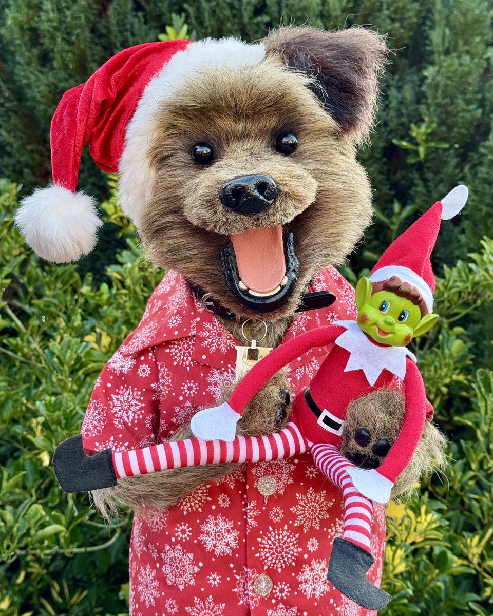 HackerTDog's tweet photo. Y’alright Cockers!! It looks like Alan the Elf has had too much meat paste!! I didn’t think that was possible Cockers!! #elfontheshelf2025🎄🎅🏽❄️ #meatpaste #etc https://t.co/9Cj0OHnomr