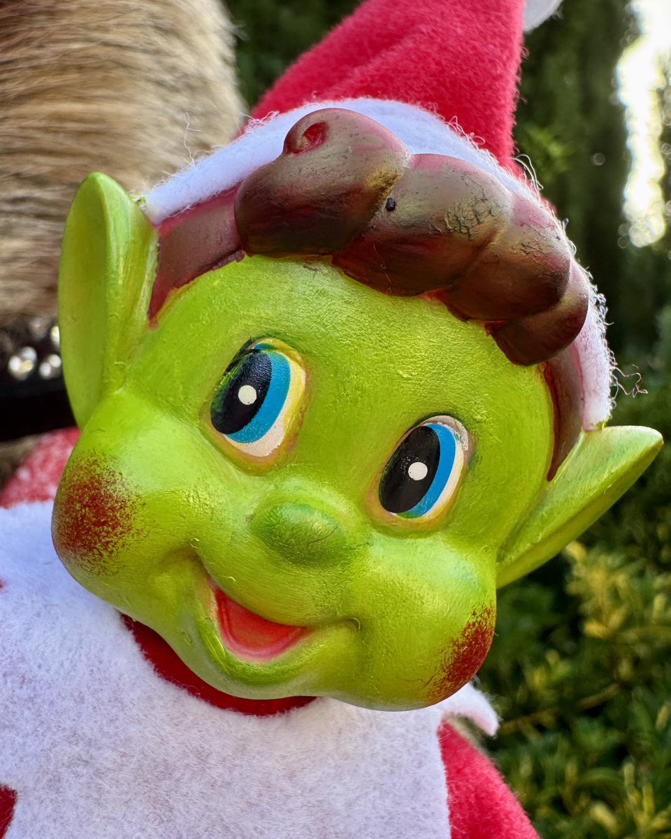 HackerTDog's tweet photo. Y’alright Cockers!! It looks like Alan the Elf has had too much meat paste!! I didn’t think that was possible Cockers!! #elfontheshelf2025🎄🎅🏽❄️ #meatpaste #etc https://t.co/9Cj0OHnomr