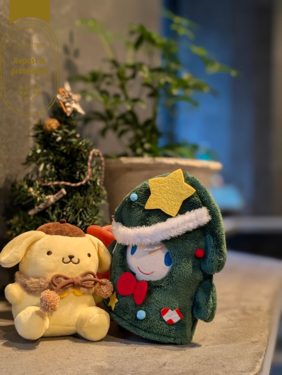 きょうのともひさ🦁（と、プリンくん🍮）】 覗き込んでおしゃべり