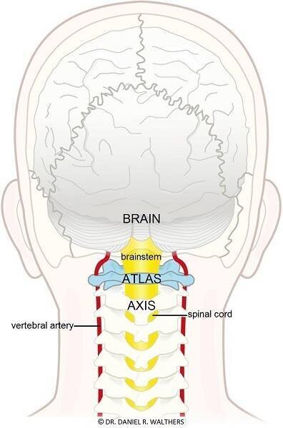 questmoosa's tweet photo. Massaging the back of your neck (nape) stimulates your vagus nerve nicely -> activating the parasympathetic nervous system instantly -> your mood improves rapidly

The best way to do this -> use the back of your 2 hands to rub up and down the back of your neck for 3-5 seconds (with force) - until the point GB-20

You are now confident and calm