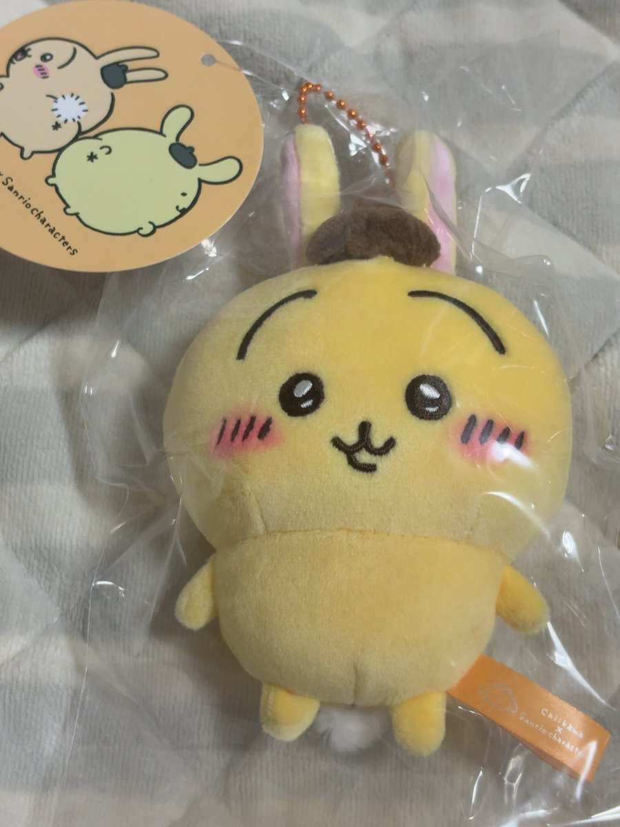 緑茶マン@ちいかわうさぎ推し2025 (@ribbon410930) / Posts / X