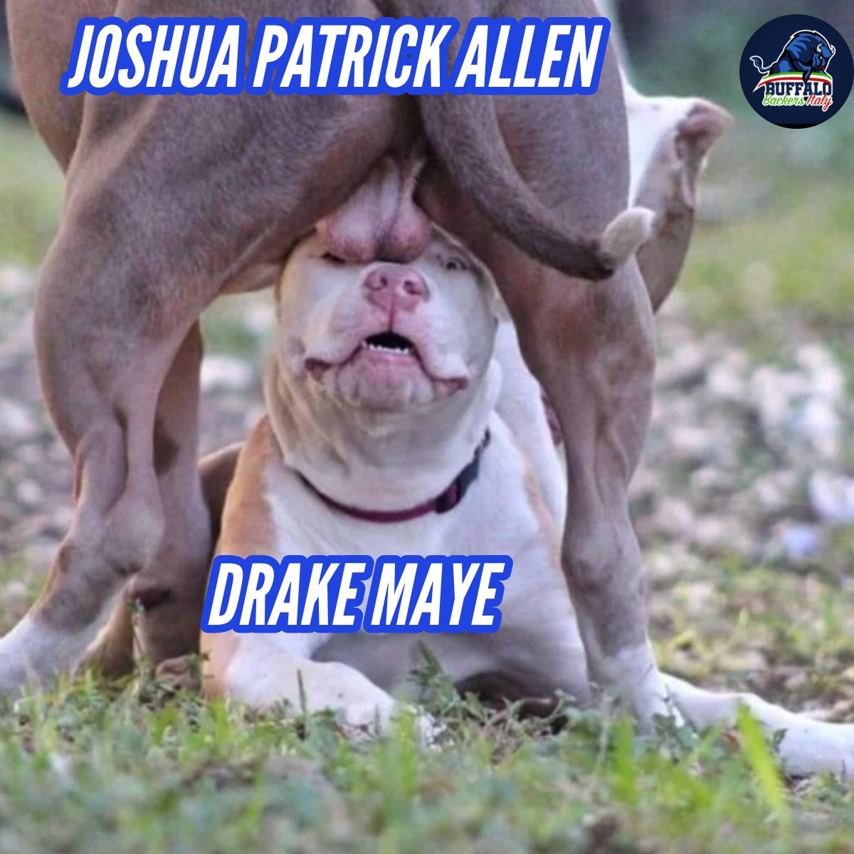 BillsItaly's tweet image. Good morning #BillsMafia