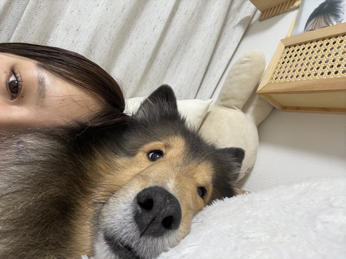 あんちゃん (@anjyu_sub) / Posts / X