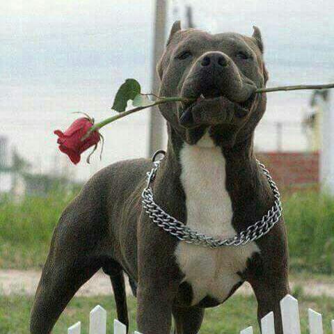 dios2181's tweet photo. Waooo que mujer tan hermosa tán preciosa tan atractiva tan tierna tan elegante sencillamente eres genial bella princesa maravillosamente encantadora 👑💎💖🌺💞🍓💯✅🥵🤤😋💋👅😘 https://t.co/3FrQBBazqB