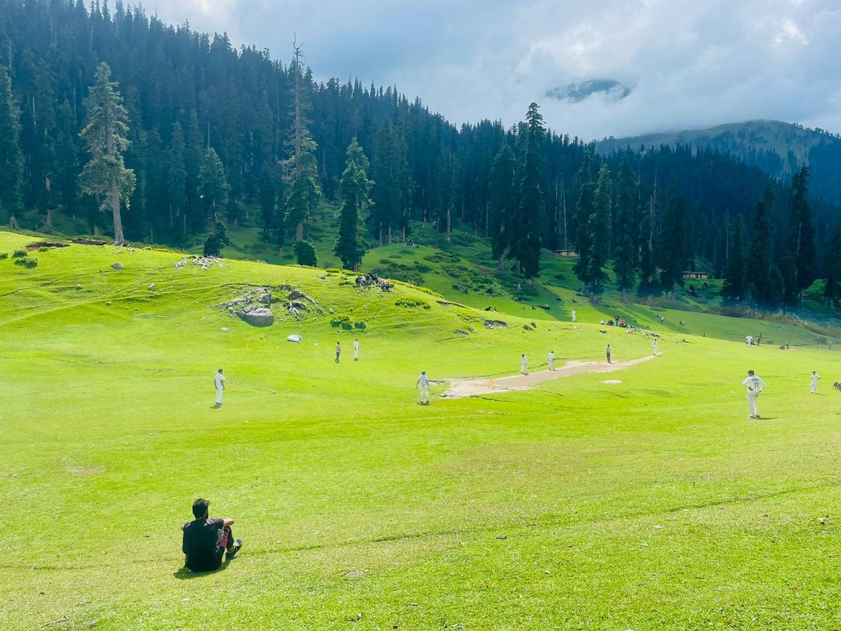 Mussarat Zia tweet media