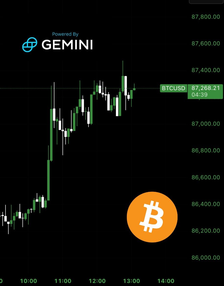Bitcoin Archive tweet media