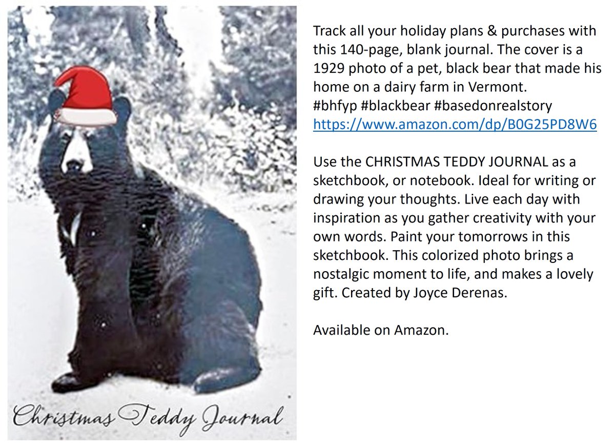 Just in time for the holidays, here's a blank journal to track all your holiday plans. The whimsical santa hat makes this a notebook that you can use year after year. #bhfyp #blackbear #holidaysketchbook. amazon.com/dp/B0G25PD8W6