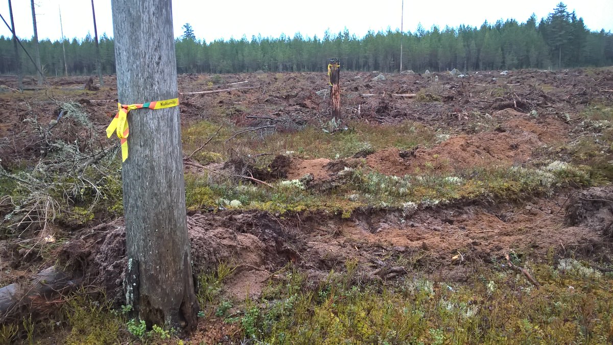 Skogsstyrelsen tweet media